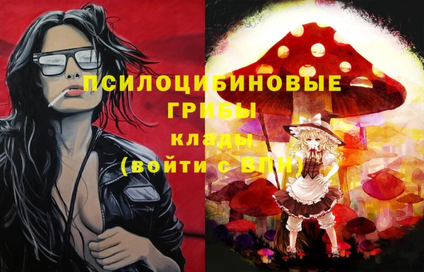 круглые Вязьма