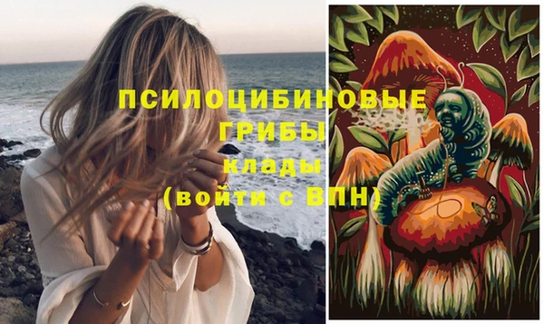 прущая мука Горно-Алтайск